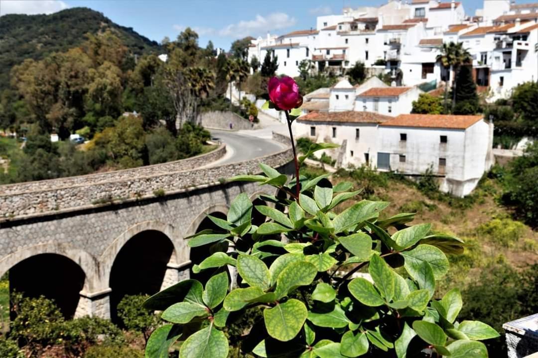 Apartmán Casa Rural Sierras De Gaucín Exteriér fotografie