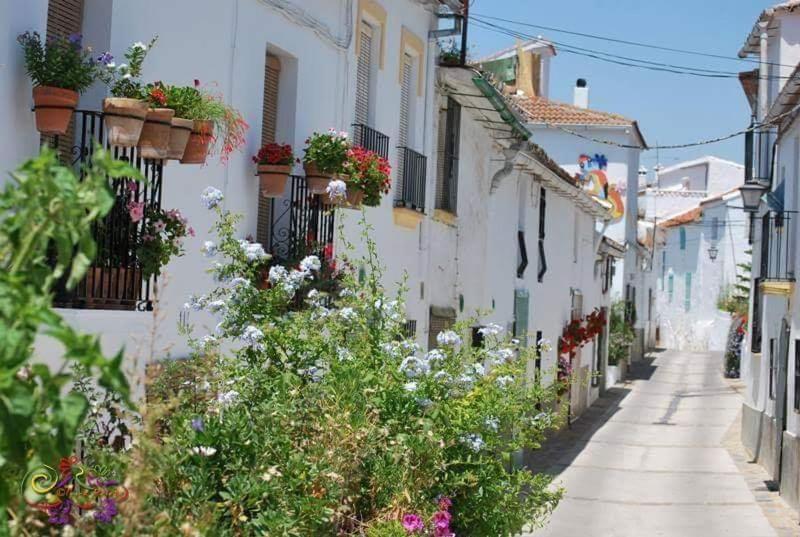 Casa Rural Sierras De Gaucín Exteriér fotografie